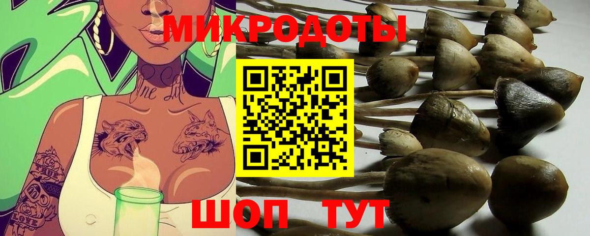 Псилоцибиновые грибы мицелий  Вход с VPN  продажа наркотиков  Шелехов  Галлюциногенные грибы мицелий 