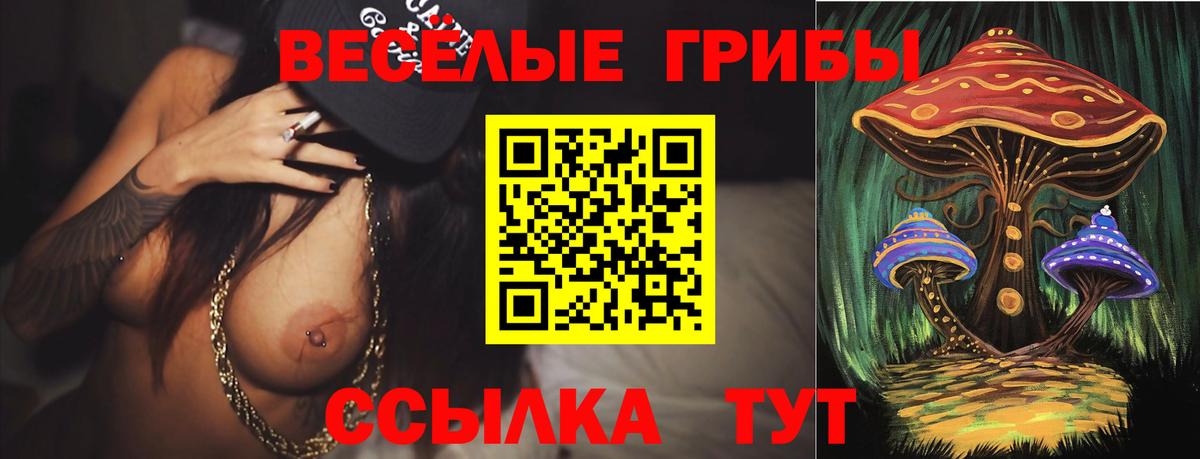 Галлюциногенные грибы GOLDEN TEACHER Шелехов